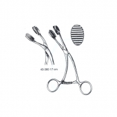 Tongue Depressor 